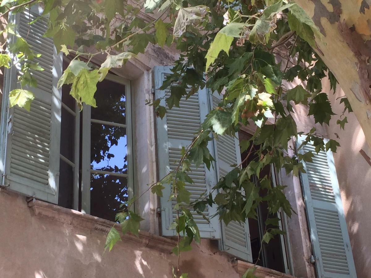 Studio Plaisance Avignon Exterior foto