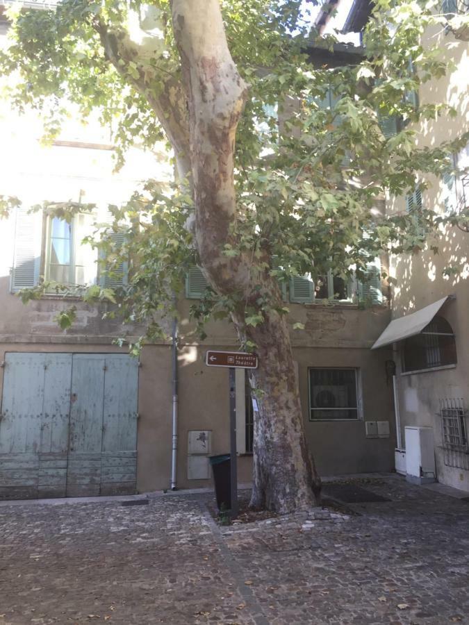 Studio Plaisance Avignon Exterior foto